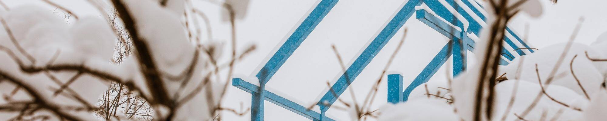 Transformational Link in view between snowy branches